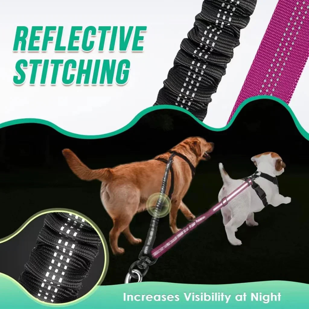 Dual Dog Leash Attachment 1.6ft Adjustable Bungee