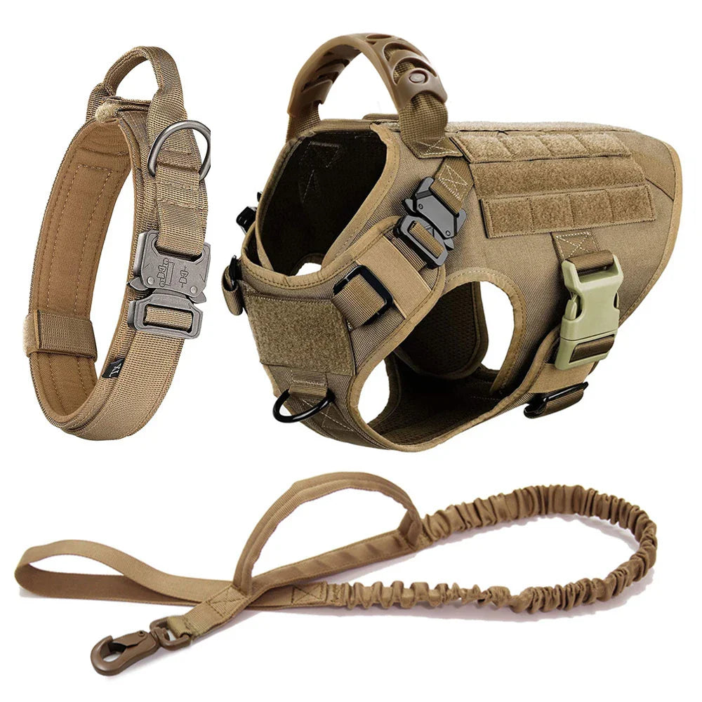 Large Dog Harness And Leash Set For Training