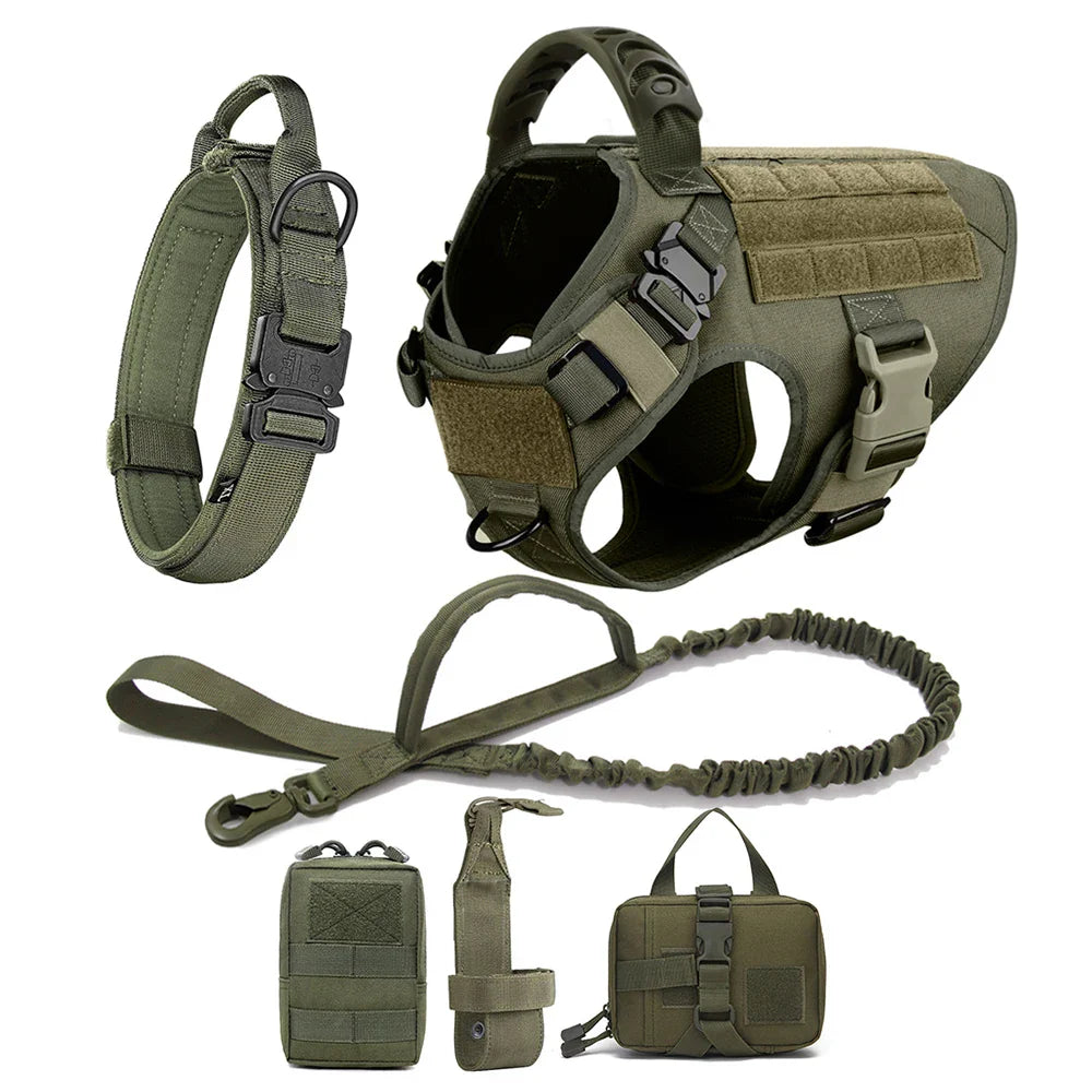 Large Dog Harness And Leash Set For Training