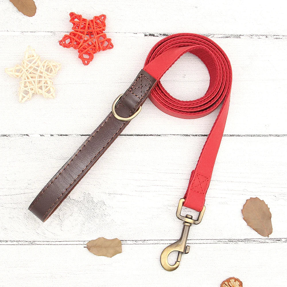 Personalized PU Leather Dog Collar and Leash