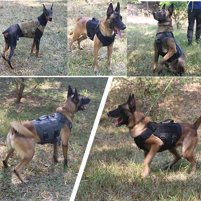 Tactical Military Dog Harness and Leash Set