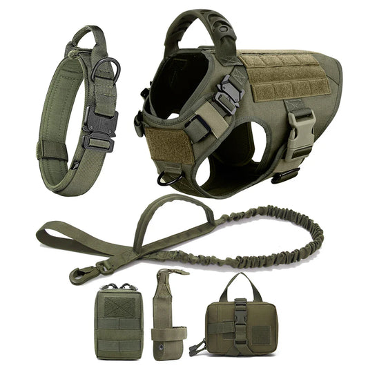 Large Dog Harness And Leash Set For Training